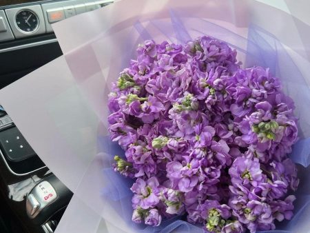 A Bouquet of Stock Online