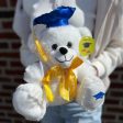 Graduation Bear on Sale