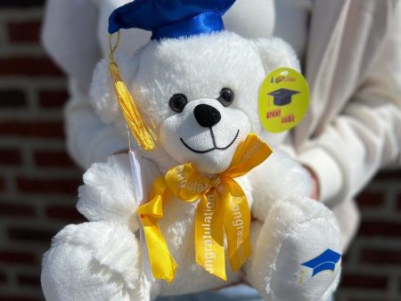 Graduation Bear on Sale