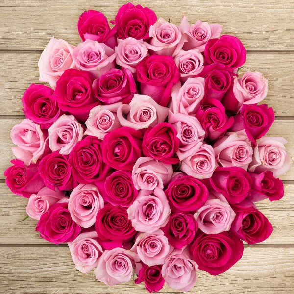 Multicolor Roses Special ❤️💗❤️ For Sale