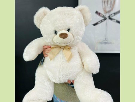 Plush Teddy Bear For Sale