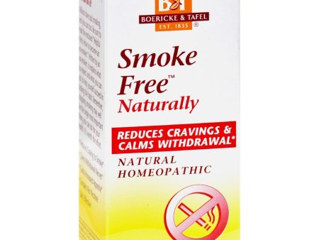 Boericke And Tafel Smoke Free Naturally - 100 Tablets Discount