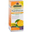 Natures Answer Sambucus - Original - Natural Orange Flavor - 8 Oz Cheap