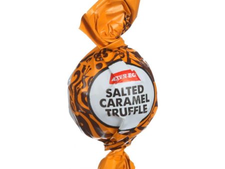 Alter Eco Americas Organic Truffles - Salted Caramel - .42 Oz - Case Of 60 For Discount